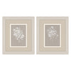 Swatland Delicate Botanicals Framed Art Set of 2