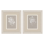 Swatland Delicate Botanicals Framed Art Set of 2