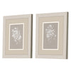 Swatland Delicate Botanicals Framed Art Set of 2