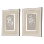 Swatland Delicate Botanicals Framed Art Set of 2