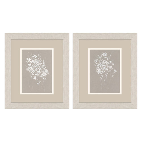 Swatland Delicate Botanicals Framed Art Set of 2