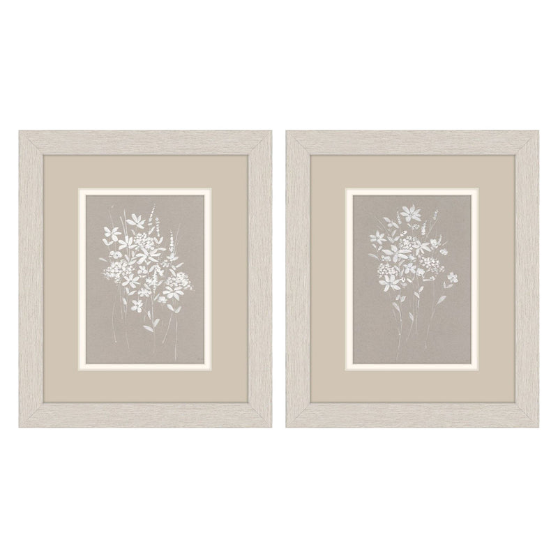 Swatland Delicate Botanicals Framed Art Set of 2