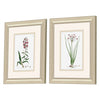 Cad Designs Rose Botanical Framed Art Set of 2