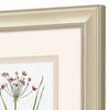 Cad Designs Rose Botanical Framed Art Set of 2