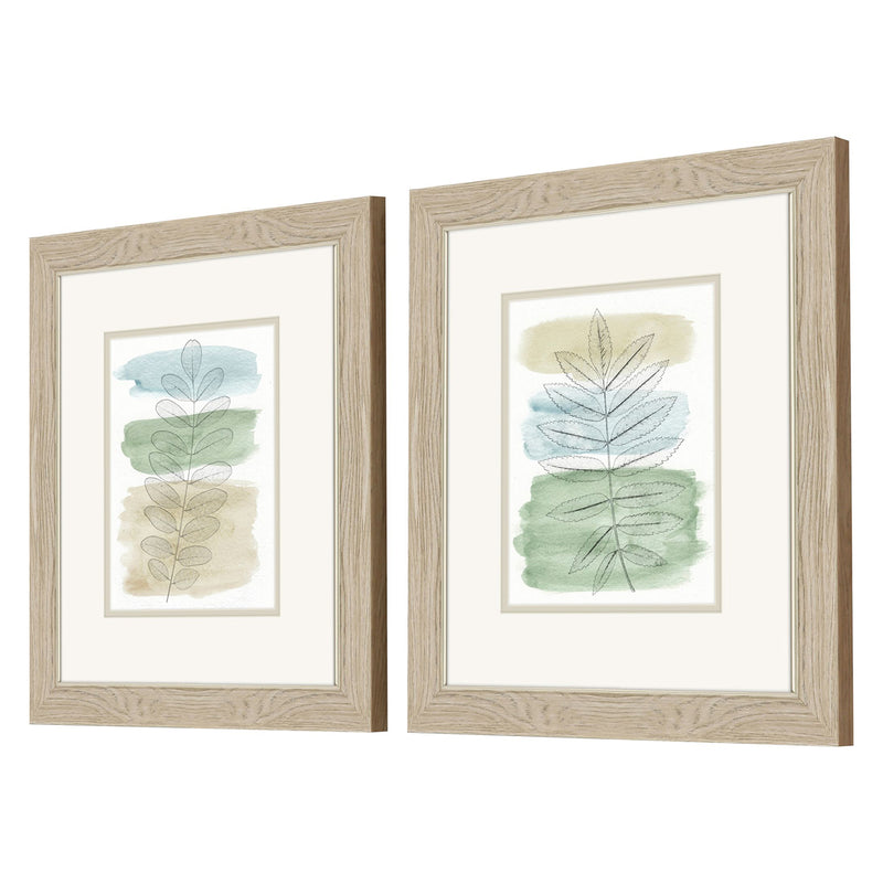 Saunders Spring Branch Framed Art Set of 2