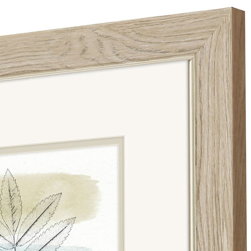 Saunders Spring Branch Framed Art Set of 2