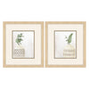 Allen Vases Framed Art Set of 2