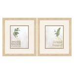 Allen Vases Framed Art Set of 2