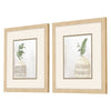 Allen Vases Framed Art Set of 2