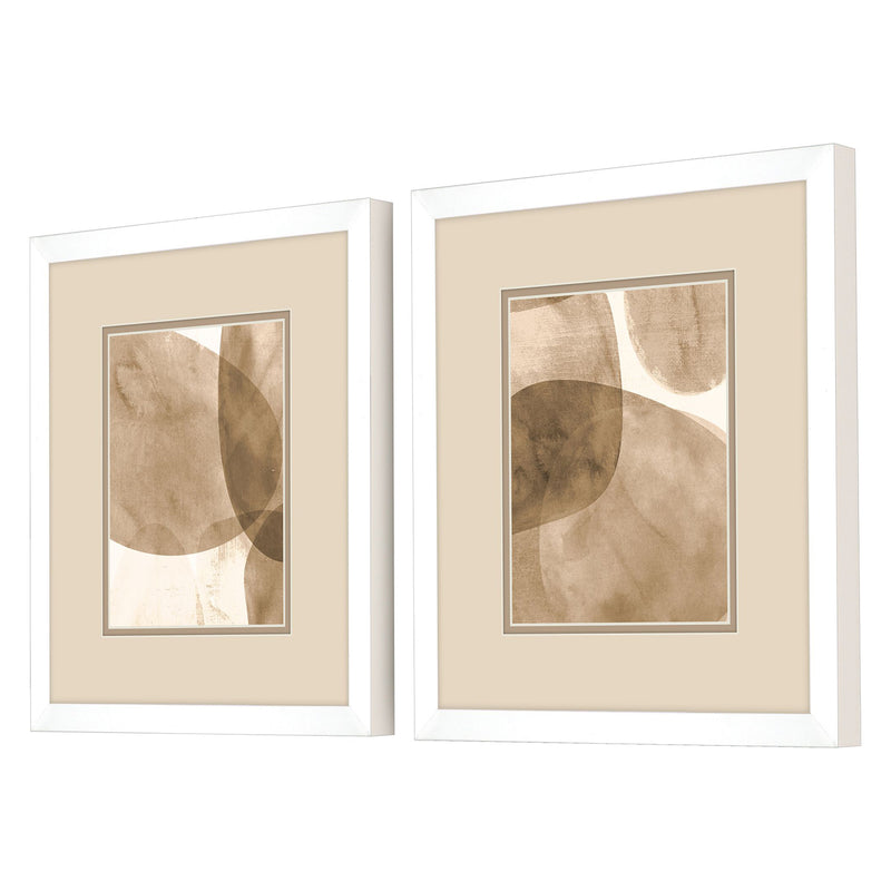 Robinson Natural Object Framed Art Set of 2