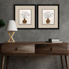 Pinto Black Branches Framed Art Set of 2