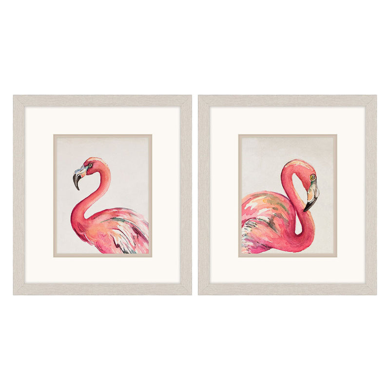 Pinto Watercolor Flamingo Framed Art Set of 2