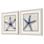 Loreth Shades of Starfish Framed Art Set of 2