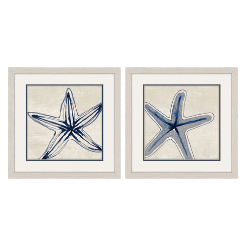 Loreth Shades of Starfish Framed Art Set of 2