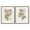 Nan Gingko Accent Framed Art Set of 2