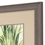 Pattinian Summer Breeze Framed Art Set of 2