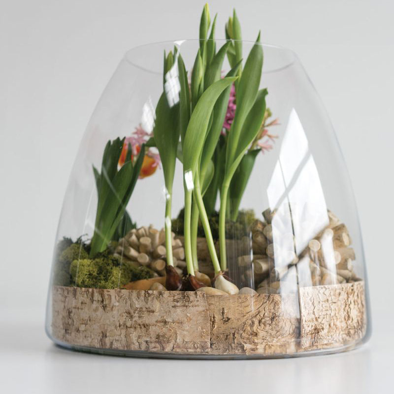 Jumbo Terrarium