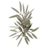 Currey & Co Sasaya Green Wall Sconce