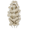 Currey & Co Maidenhair Ivory Wall Sconce