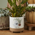 Optimistic Ghost Pot Set of 2