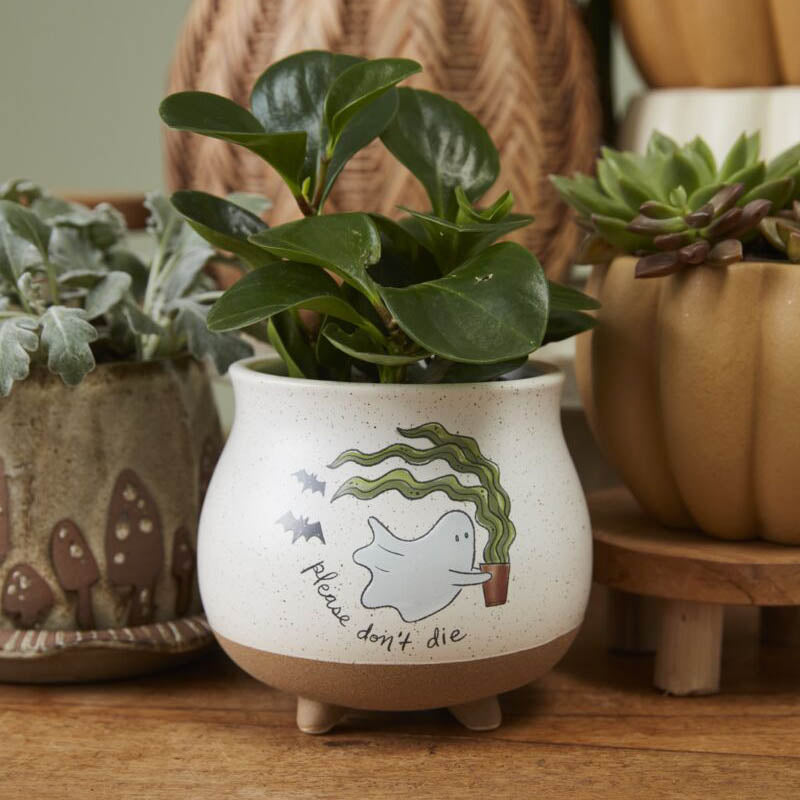 Optimistic Ghost Pot Set of 2