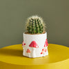 Cheerful Mushroom Pot