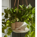 Redondo Hanging Pot