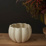 Spiced Pumpkin Pot Set of 4