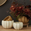 Spiced Pumpkin Pot Set of 4