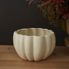 Spiced Pumpkin Pot Set of 4