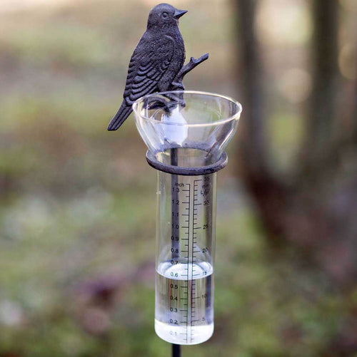 Songbird Rain Gauge Garden Stake