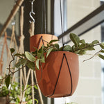 Palma Hanging Pot