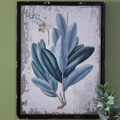 Botanical Rubber Plant Wall Art