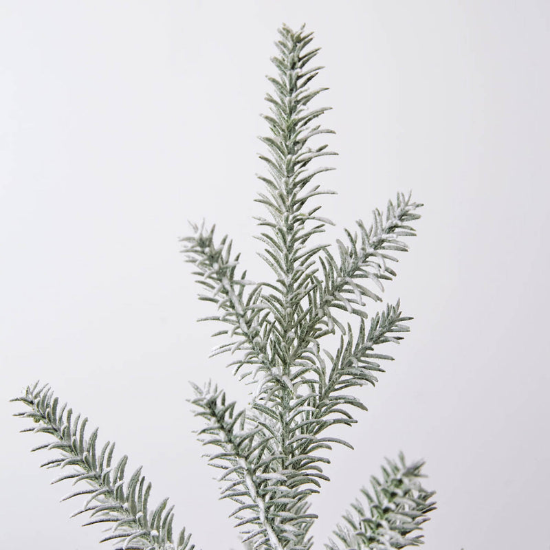 Tabletop Fir Tree in Galvanized Pot