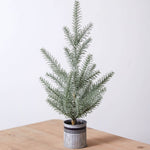 Tabletop Fir Tree in Galvanized Pot