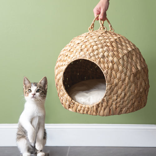 Woven Dome Pet Bed