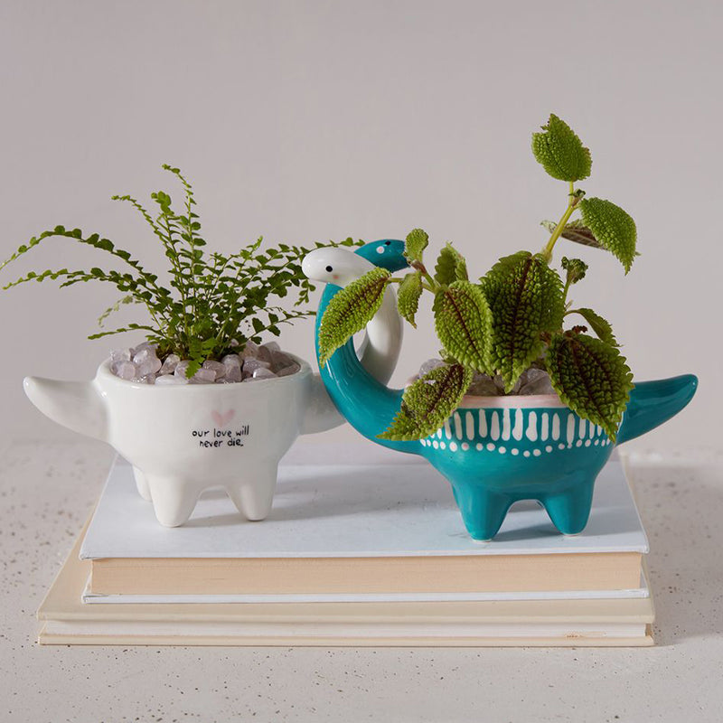 Dino Love Pot Set