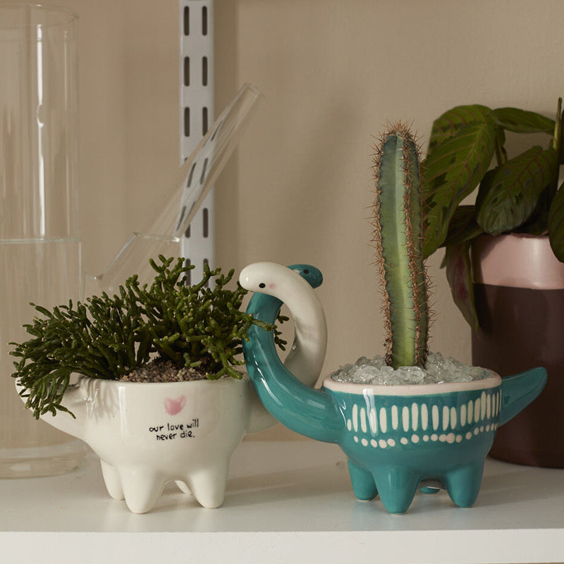 Dino Love Pot Set