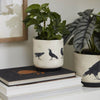 Corvus Pot Set of 2