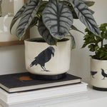 Corvus Pot Set of 2