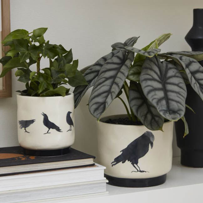 Corvus Pot Set of 2