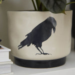 Corvus Pot Set of 2