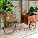 Delivery Trike Planter