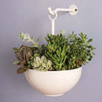 Leti Hanging Bowl Planter