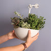 Leti Hanging Bowl Planter