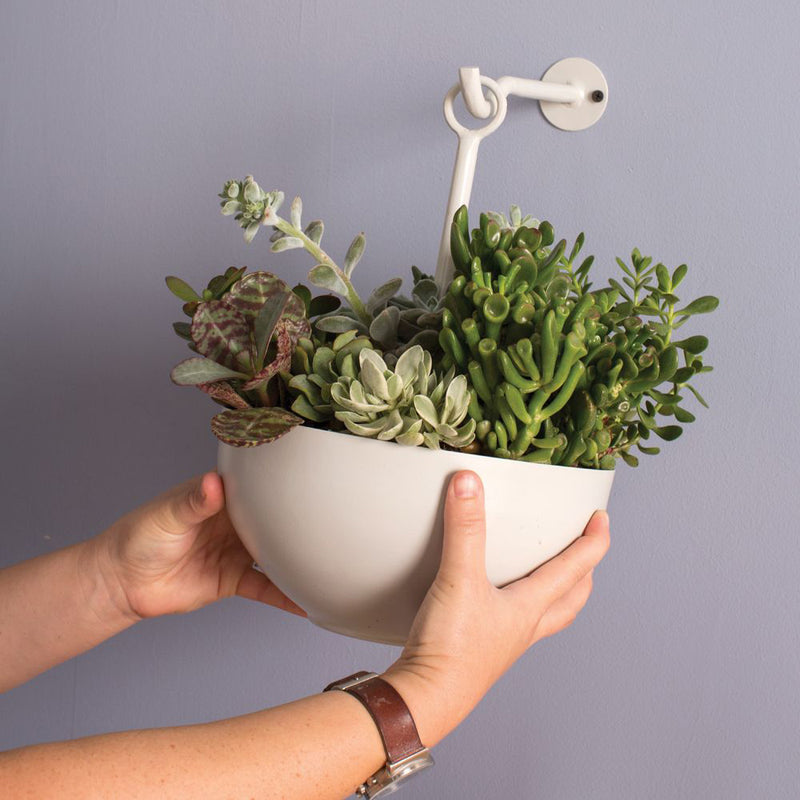 Leti Hanging Bowl Planter