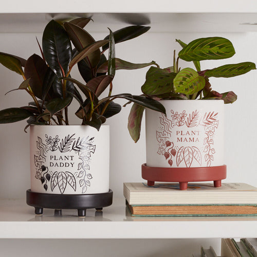 Plant Parent Pot