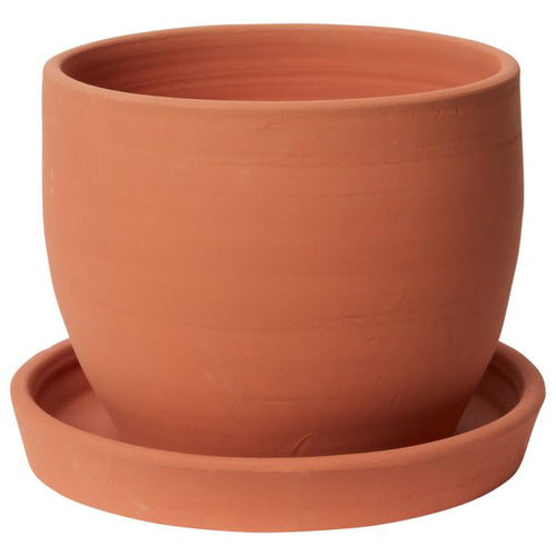 Baden Pot