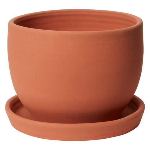 Baden Pot