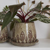 Wild Mushroom Pot with Saucer